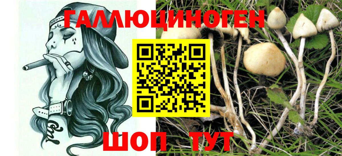 Галлюциногенные грибы мицелий  Вход с VPN  Кировск 