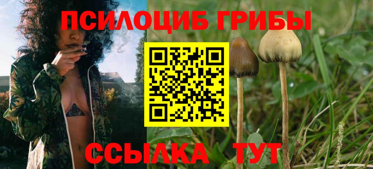 ГАШ  Кировск  Марихуана  COCAIN  МЕФ кристаллы  Вход с VPN 