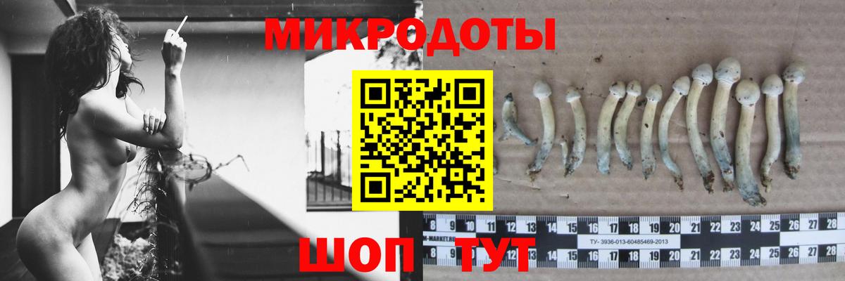 ГАШИШ Кировск