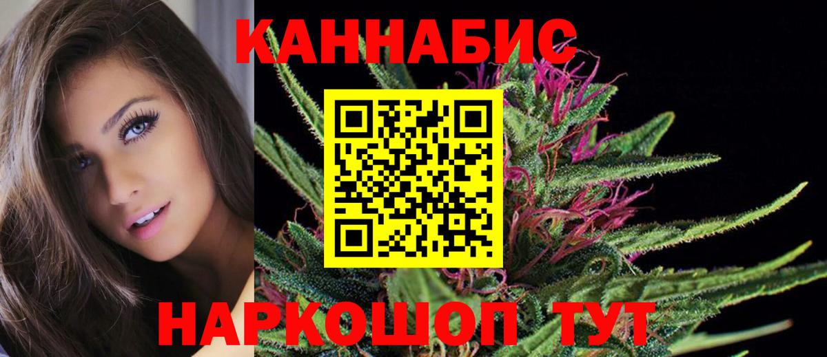 Шишки марихуана индика  Вход с VPN  Марихуана планчик  Кировск  Конопля план  Конопля Bruce Banner 
